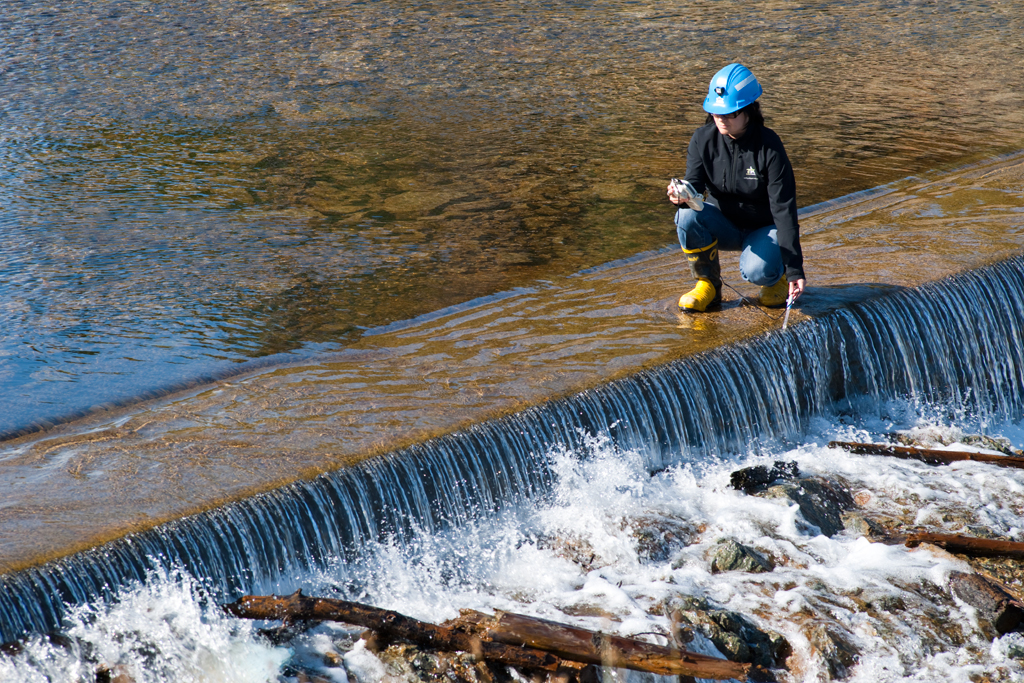 Environmental and Wildlife Management miners online Environmental and Wildlife Management miners online